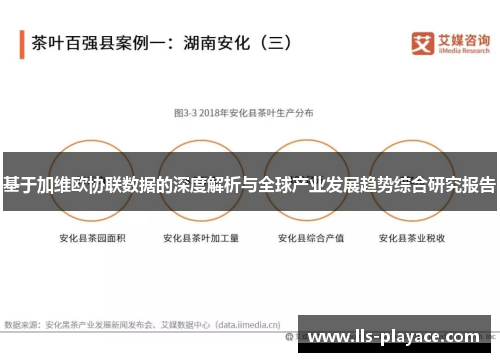 基于加维欧协联数据的深度解析与全球产业发展趋势综合研究报告