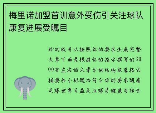 梅里诺加盟首训意外受伤引关注球队康复进展受瞩目